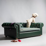 Load image into Gallery viewer, COUCH