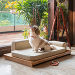 Load image into Gallery viewer, NUMA