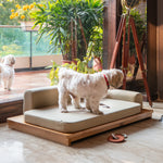 Load image into Gallery viewer, NUMA