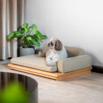 Load image into Gallery viewer, NUMA