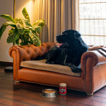 Load image into Gallery viewer, COUCH