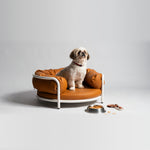 Load image into Gallery viewer, ZYRA