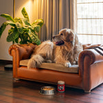 Load image into Gallery viewer, COUCH