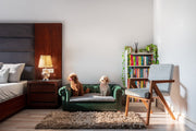 Strong by Design: Premium Pet Furniture in India That’s Built to Last