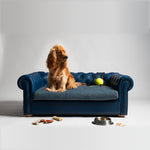 Load image into Gallery viewer, COUCH