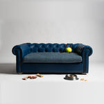 Load image into Gallery viewer, COUCH