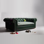 Load image into Gallery viewer, COUCH