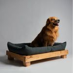 Load image into Gallery viewer, NIDO