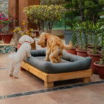 Load image into Gallery viewer, NIDO