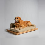 Load image into Gallery viewer, NUMA