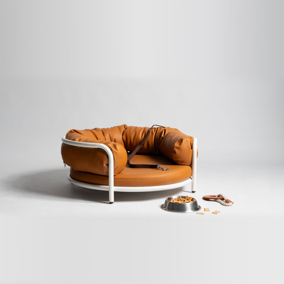 ZYRA — Circular with dog