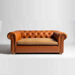 Load image into Gallery viewer, COUCH