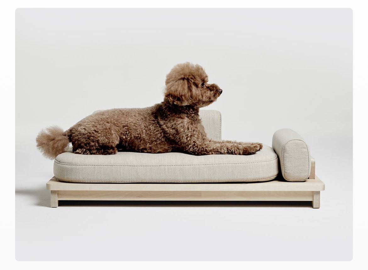 Minimal Beige Dog Bed